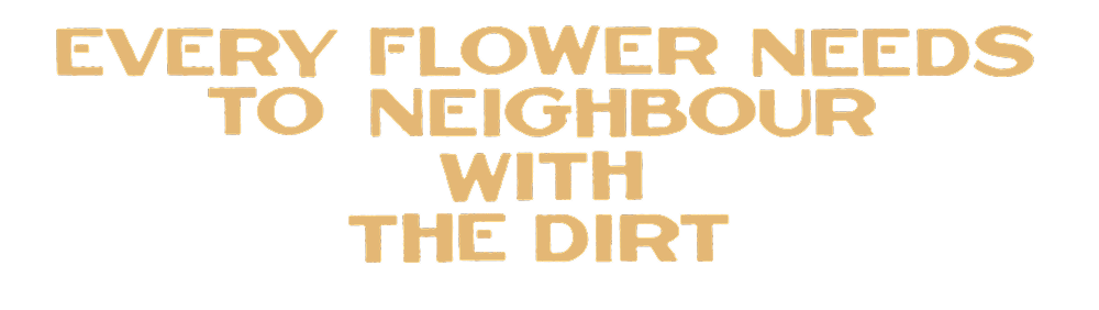 Every Flower needs to neighbour with the dirt